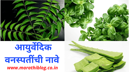 Ayurvedic Plants in Marathi