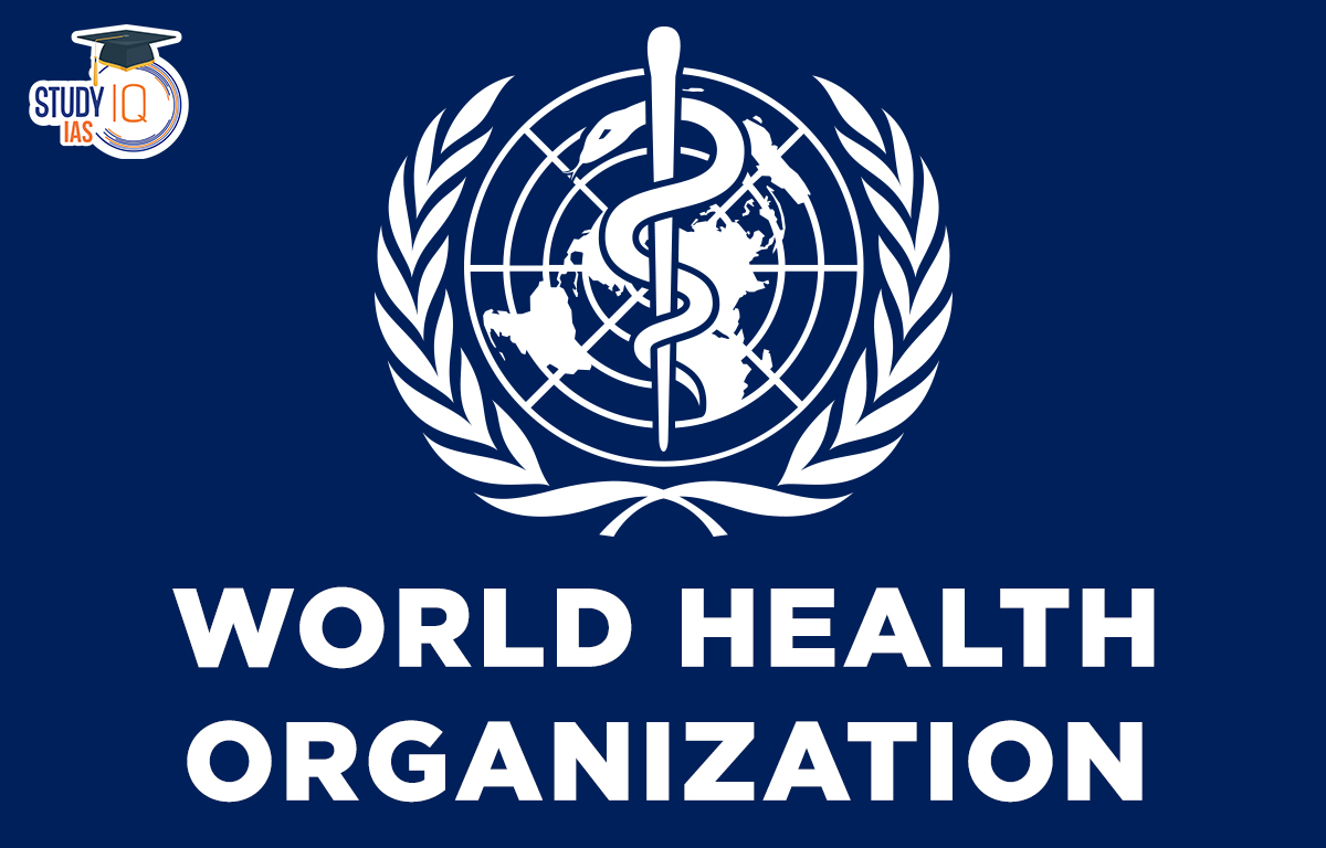 Recent Developments from the World Health Organization