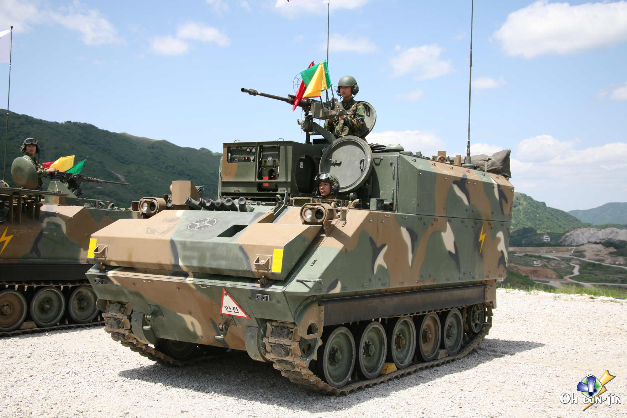 The Essential Role of Vitamin K in Our Health