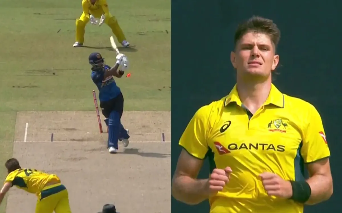 aaron hardie — IN news