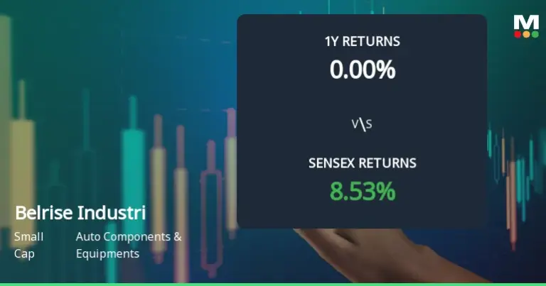 belrise share price — IN news