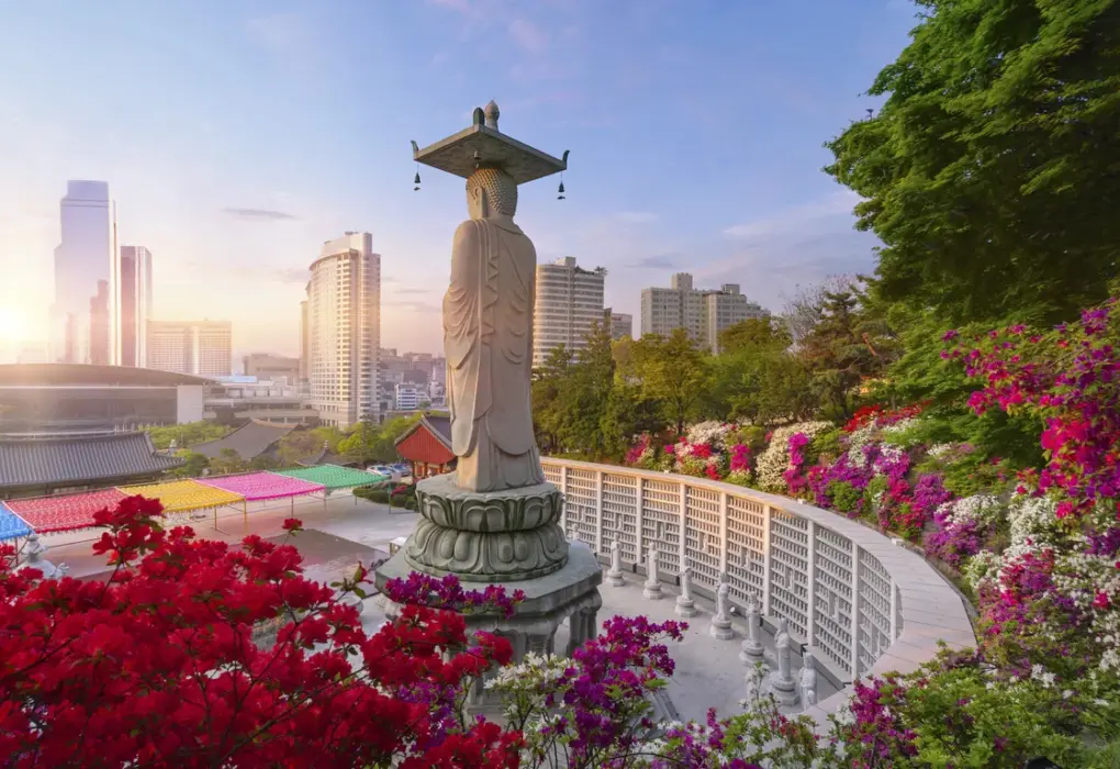 south korea — IN news