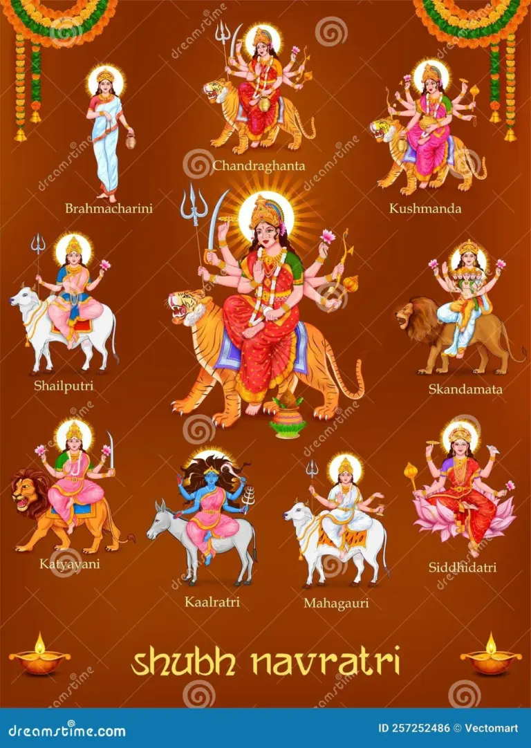 today navratri day — IN news
