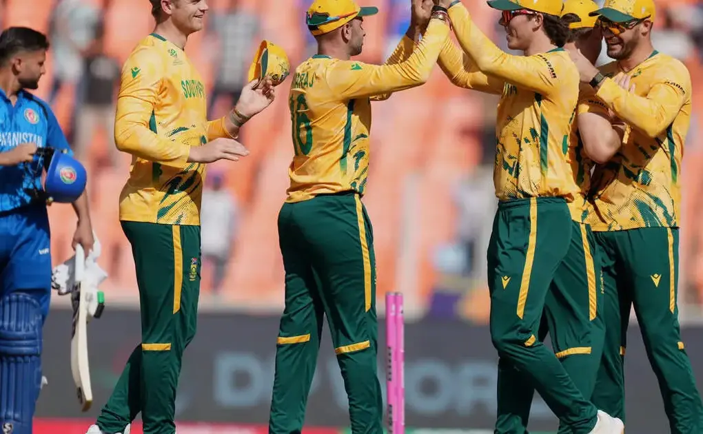 zim vs sa — IN news