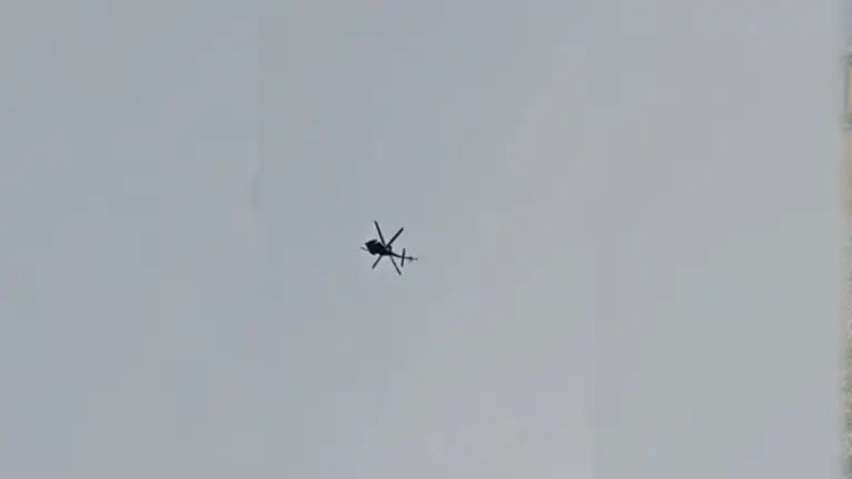 video videos — IN news