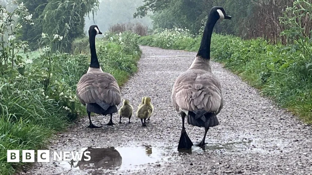 bank holiday — IN news